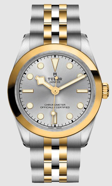 Tudor Black Bay 31 S&G 79603-0002 Replica Watch